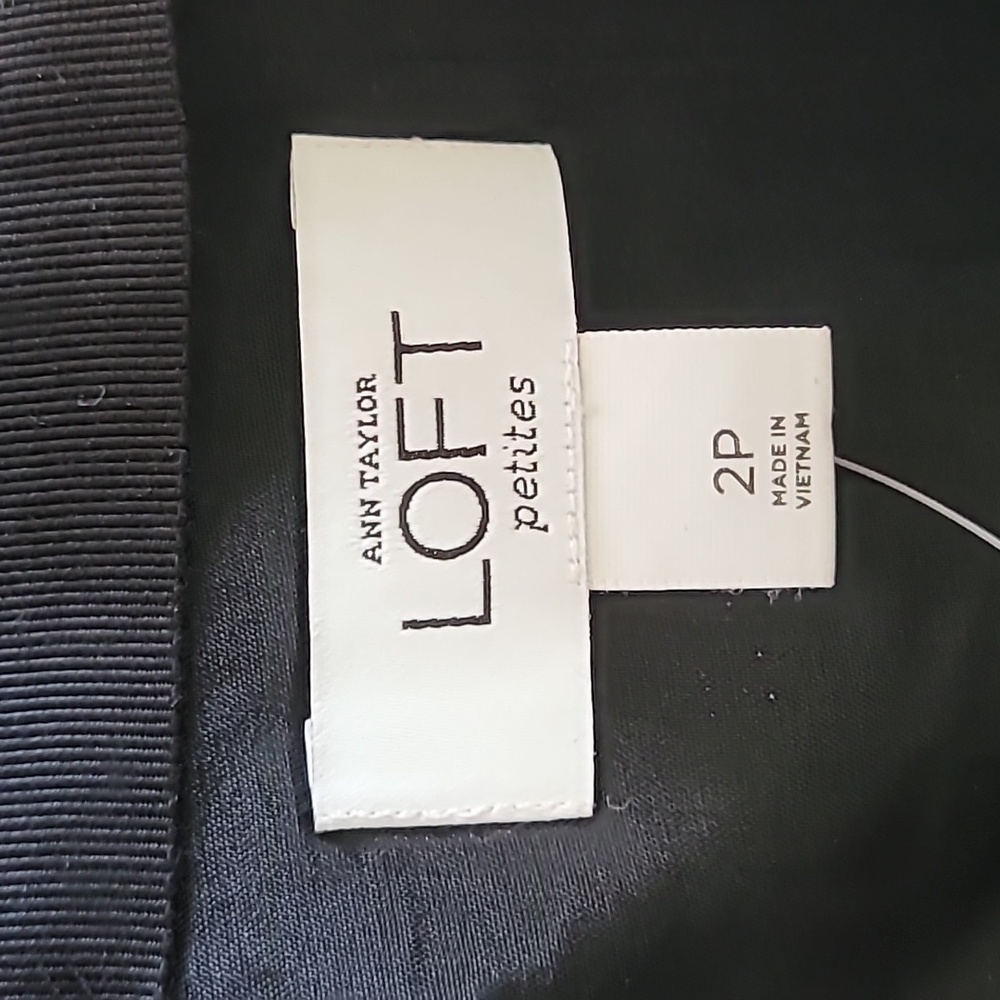 Ann Taylor Skirt - Picture 2 of 16